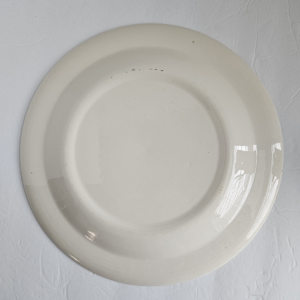 ROYAL CHINA CAVALIER IRONSTONE "IT'S A DAISY" PLATTER - Picture 3 of 9